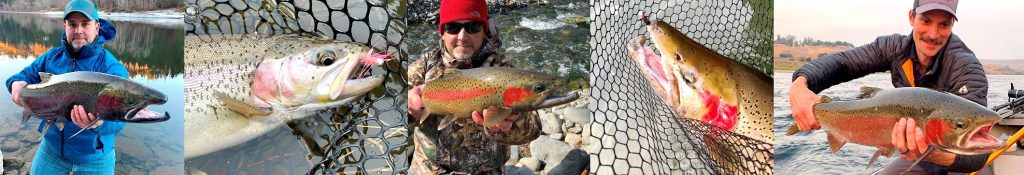 jawbugfishingtackleidaho